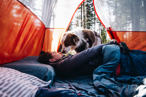 Les meilleures tentes pour camper avec son chien